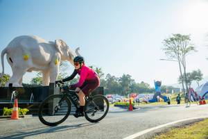 BIB: 
                            <button type="button" onclick="openModal(26183005)" class="btn btn-primary btn-sm float-right btn-popup" data-toggle="modal" data-target=".modal-high-quality">
                        <i class="fas fa-shopping-cart"></i> Add to Cart
                    </button>
                                            <button type="button" onclick="isThisMe(26183005, true)" class="btn btn-success btn-sm float-right btn-popup btn-isme hidden" data-toggle="tooltip" data-placement="bottom" title="นี่คือรูปของคุณใช่ไหม คลิกที่นี่เพื่อเอาเข้าอัลบั้ม">
                        <i class="fas fa-plus"></i> Add to album
                    </button>
                    <button type="button" onclick="isThisMe(26183005, false)" class="btn btn-warning btn-sm float-right btn-popup btn-isnotme hidden">
                        <i class="fas fa-ban"></i> Remove from album
                    </button>